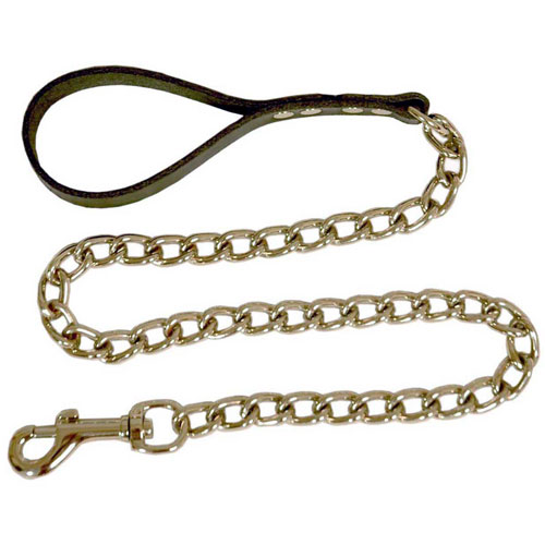 Chain Leash